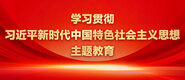 美女免费搞基搞黄学习贯彻习近平新时代中国特色社会主义思想主题教育_fororder_ad-371X160(2)